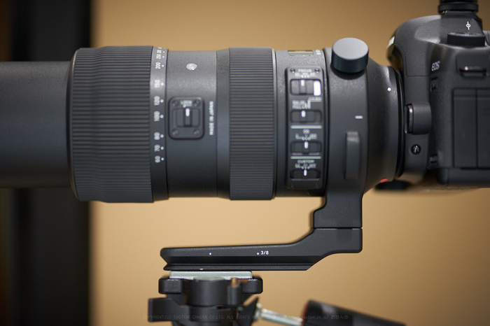 シグマ 60-600mm F4.5-6.3 DG OS HSM | Sports を使ってみました